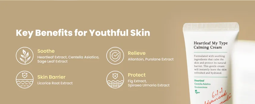 AXIS-Y Heartleaf My Type Calming Cream (x96) – Bulk Box